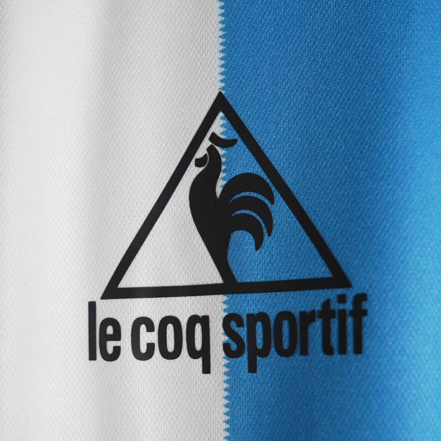 Argentina 1996 world cup