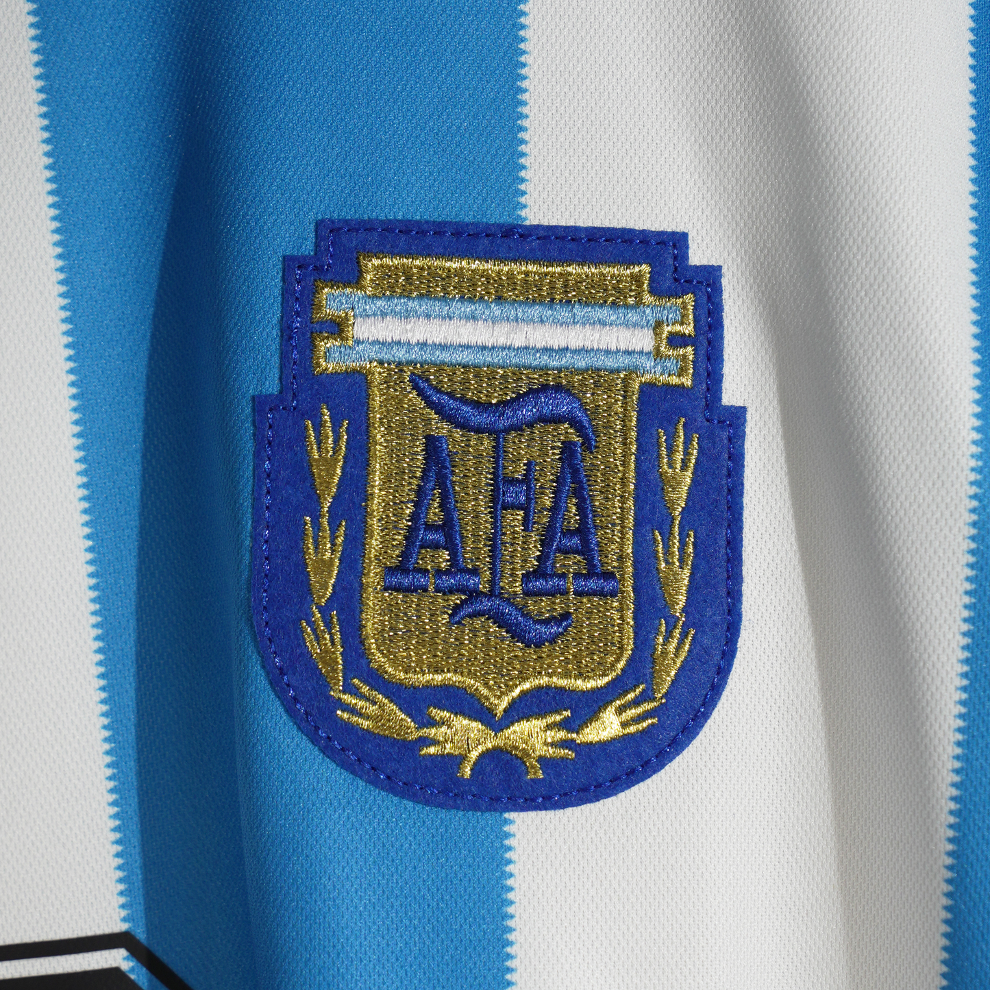Argentina 1996 world cup