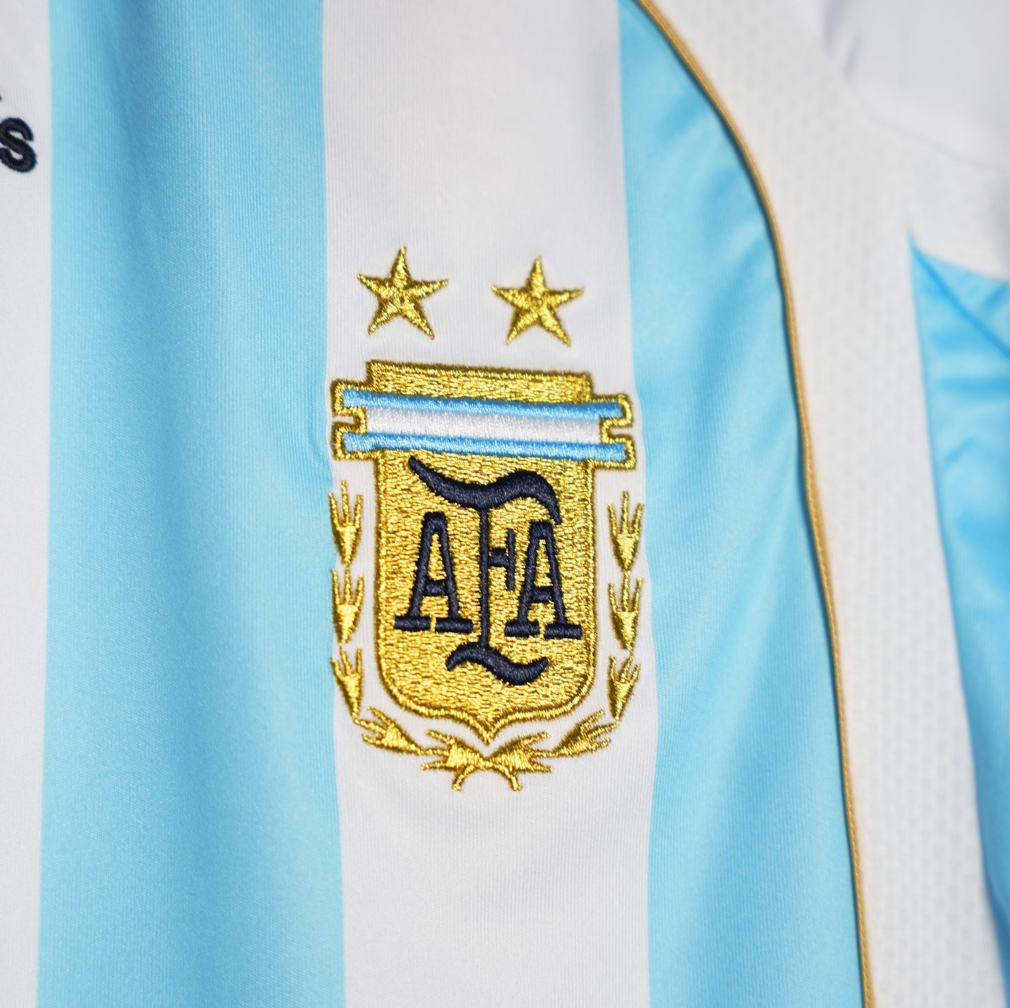 Argentina 2006 world cup