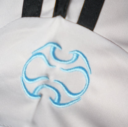 Argentina 2006 world cup